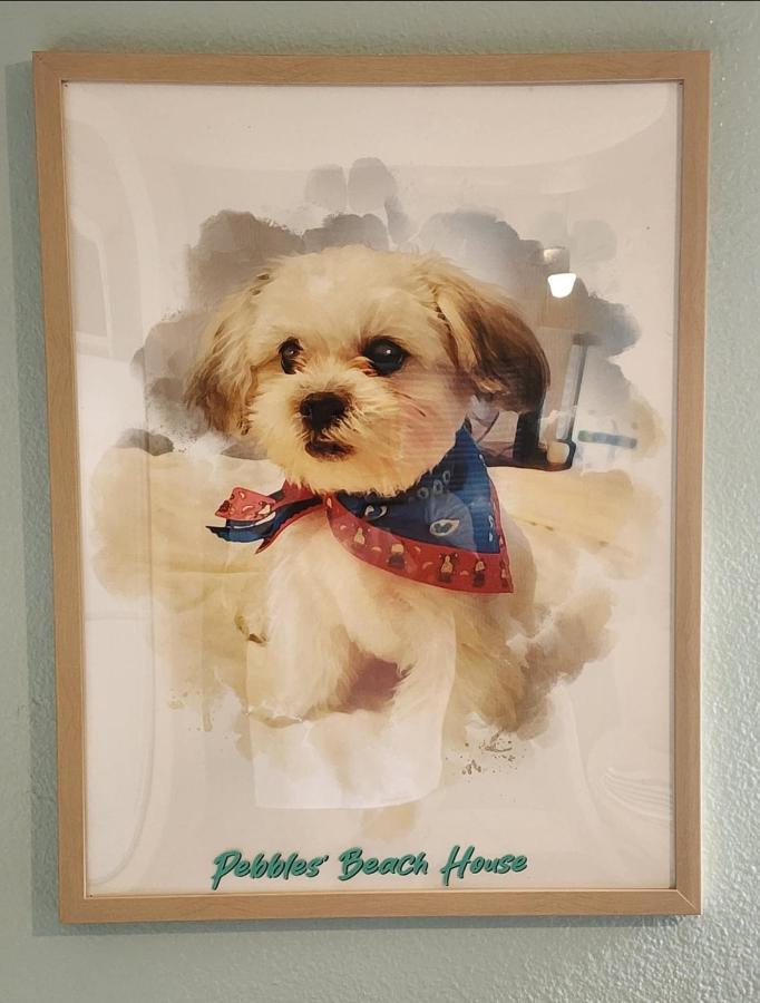 Pebbles' Beach House Edinburg Kültér fotó